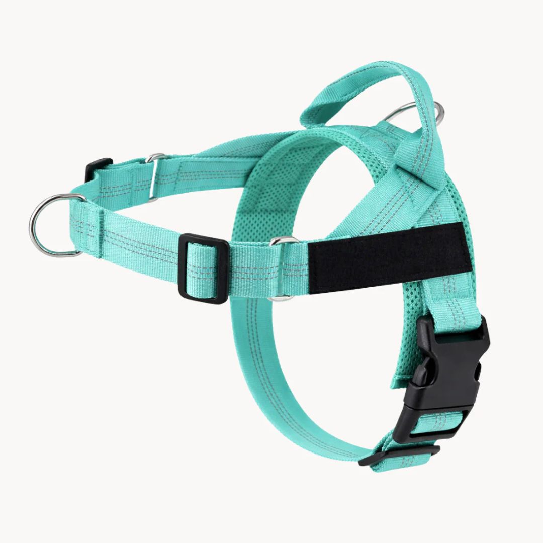 Harnais No Pull – Offrez à votre chien des promenades agréables et sans stress