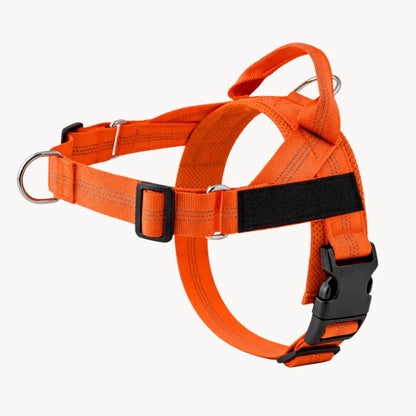 Harnais No Pull – Offrez à votre chien des promenades agréables et sans stress