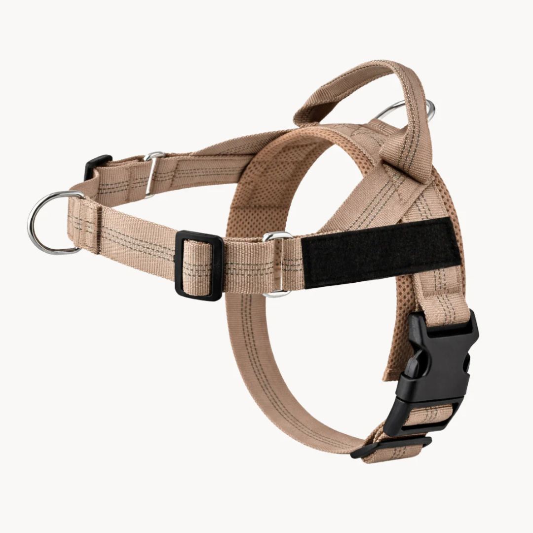 Harnais No Pull – Offrez à votre chien des promenades agréables et sans stress