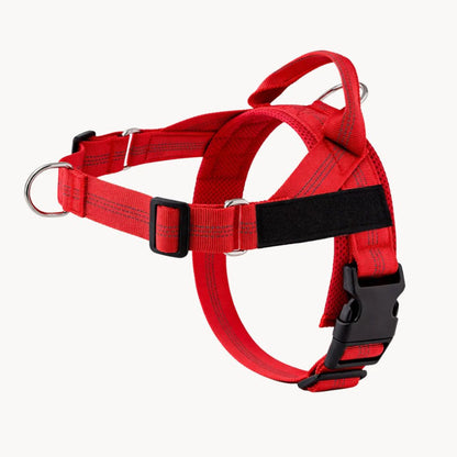 Harnais No Pull – Offrez à votre chien des promenades agréables et sans stress
