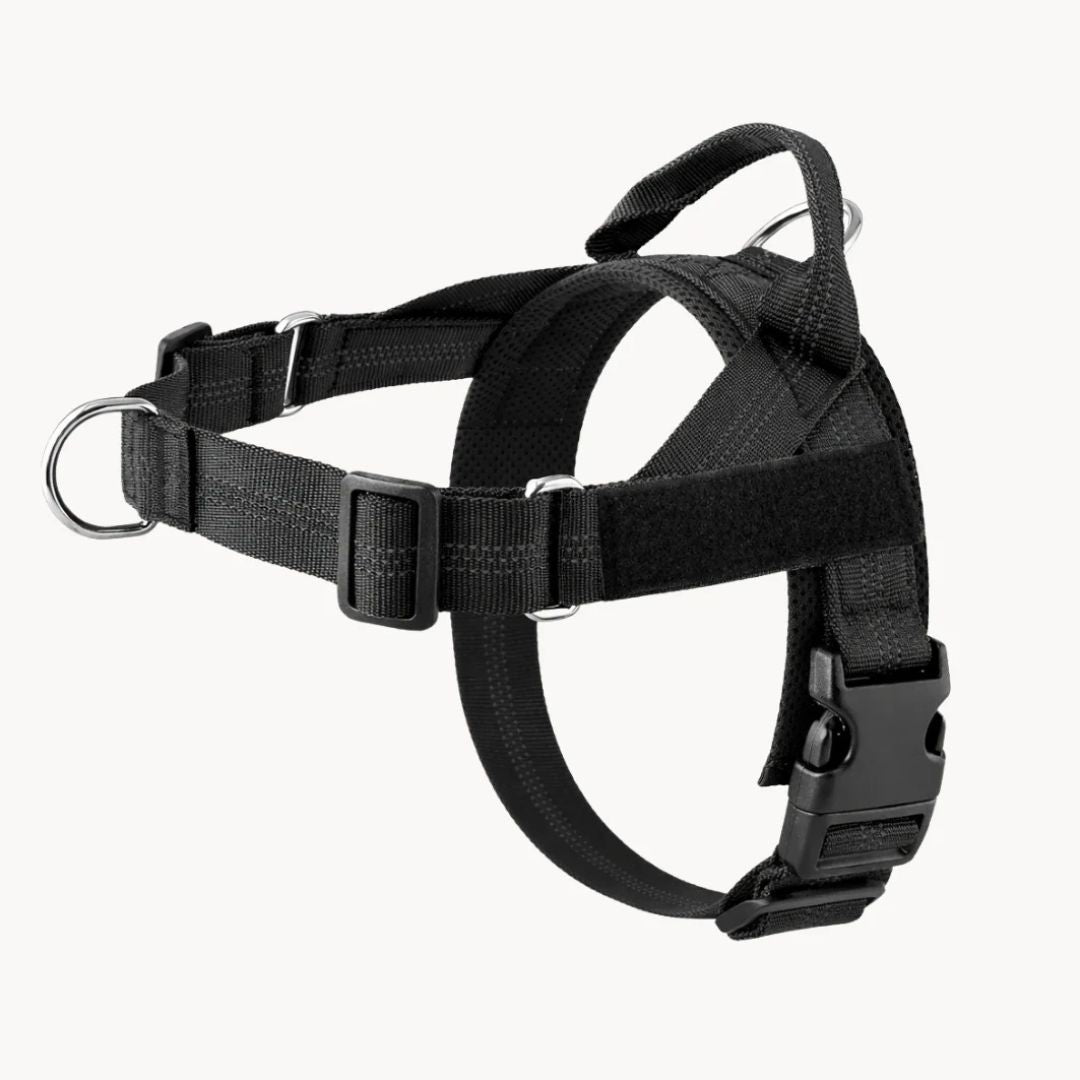 Harnais No Pull – Offrez à votre chien des promenades agréables et sans stress