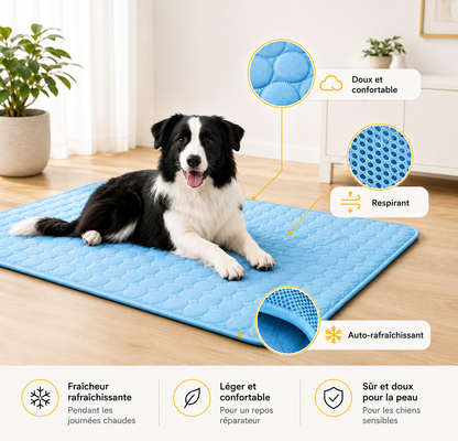 Tapis rafraîchissant pour l'été