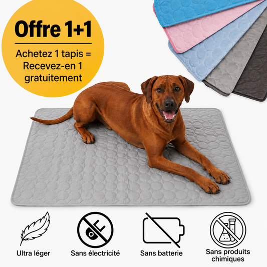 Tapis rafraîchissant pour l'été