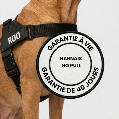 Harnais No Pull – Offrez à votre chien des promenades agréables et sans stress