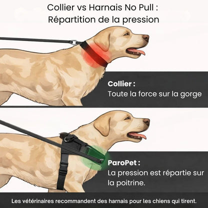 Harnais No Pull – Offrez à votre chien des promenades agréables et sans stress