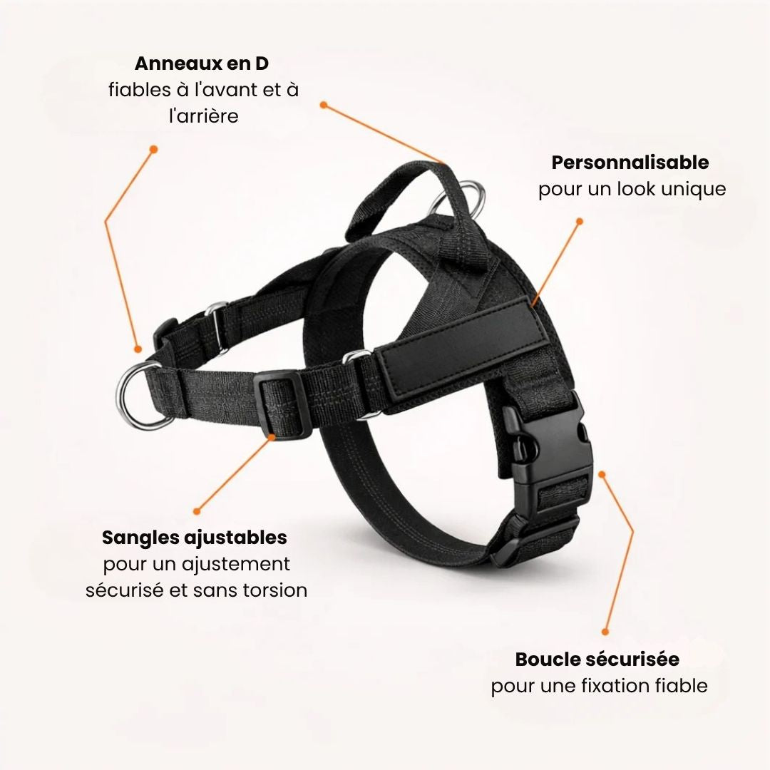 Harnais No Pull – Offrez à votre chien des promenades agréables et sans stress