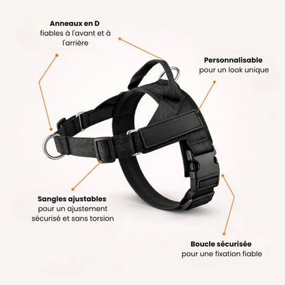 Harnais No Pull – Offrez à votre chien des promenades agréables et sans stress