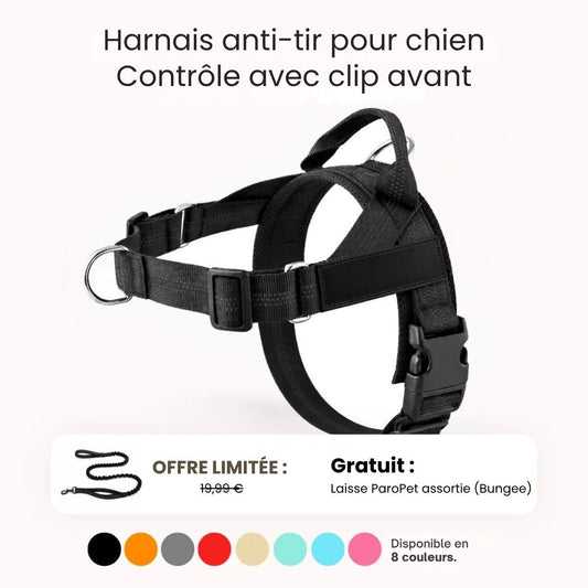 Harnais No Pull – Offrez à votre chien des promenades agréables et sans stress
