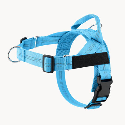 Harnais No Pull – Offrez à votre chien des promenades agréables et sans stress